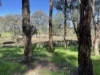 Lot 4, 7-9B Springflat Drive, Gundagai, NSW 2722-Image