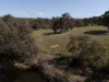 Lot 4 and 5 Sandy Creek Rd, Pyalong, Vic 3521-Image