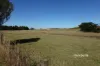 Lot 4 Camena Road, Natone, Tas 7321-Image