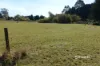 Lot 4 Camena Road, Natone, Tas 7321-Image
