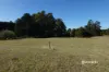 Lot 4 Camena Road, Natone, Tas 7321-Image