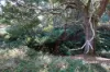 Lot 4 Camena Road, Natone, Tas 7321-Image