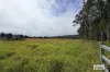 Lot 4, Elms Road, Wondecla, Qld 4887-Image
