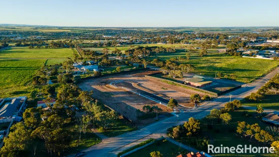 Lot 4 Gerardo Court, Murray Bridge, SA 5253