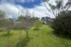 Lot 41, Commercial Road, Watervale, SA 5452-Image
