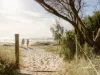 Lot 416, Kings Forest, NSW 2487-Image