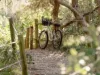 Lot 416, Kings Forest, NSW 2487-Image