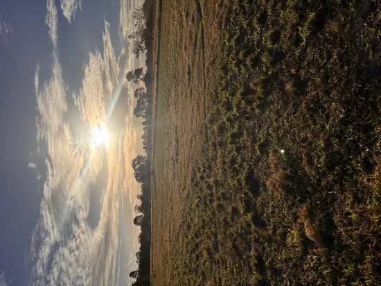 Lot 44, 252 Woodgate Rd, Goodwood, Qld 4660