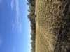 Lot 44, 252 Woodgate Rd, Goodwood, Qld 4660-Image