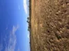 Lot 44, 252 Woodgate Rd, Goodwood, Qld 4660-Image
