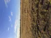Lot 44, 252 Woodgate Rd, Goodwood, Qld 4660-Image