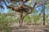 Lot 44  Peacock Road, The Pines, Qld 4357-Image