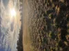 Lot 45, 252 Woodgate Rd, Goodwood, Qld 4660