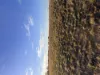 Lot 45, 252 Woodgate Rd, Goodwood, Qld 4660-Image