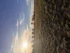 Lot 45, 252 Woodgate Rd, Goodwood, Qld 4660-Image
