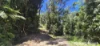 Lot 45 Kahana Rd, Whyanbeel, Qld 4873-Image