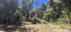 Lot 45 Kahana Rd, Whyanbeel, Qld 4873-Image