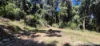 Lot 45 Kahana Rd, Whyanbeel, Qld 4873-Image
