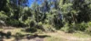 Lot 45 Kahana Rd, Whyanbeel, Qld 4873-Image