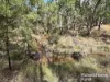 Lot 47 Mclean Road, Durong, Qld 4610-Image