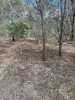 Lot 49 Railway Parade, St Lawrence, Qld 4707-Image