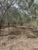 Lot 49 Railway Parade, St Lawrence, Qld 4707-Image
