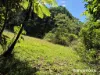 Lot 49 Tea Tree Road, Diwan, Qld 4873-Image