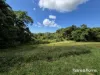 Lot 49 Tea Tree Road, Diwan, Qld 4873-Image
