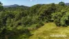 Lot 49 Tea Tree Road, Diwan, Qld 4873-Image