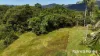 Lot 49 Tea Tree Road, Diwan, Qld 4873-Image