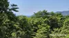 Lot 49 Tea Tree Road, Diwan, Qld 4873-Image