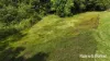 Lot 49 Tea Tree Road, Diwan, Qld 4873-Image