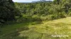 Lot 49 Tea Tree Road, Diwan, Qld 4873-Image