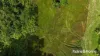 Lot 49 Tea Tree Road, Diwan, Qld 4873-Image