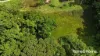 Lot 49 Tea Tree Road, Diwan, Qld 4873-Image