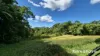Lot 49 Tea Tree Road, Diwan, Qld 4873-Image
