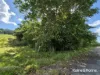Lot 49 Tea Tree Road, Diwan, Qld 4873-Image
