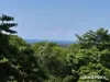 Lot 49 Tea Tree Road, Diwan, Qld 4873-Image