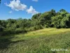 Lot 49 Tea Tree Road, Diwan, Qld 4873-Image