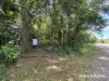Lot 49 Tea Tree Road, Diwan, Qld 4873-Image