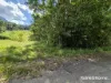 Lot 49 Tea Tree Road, Diwan, Qld 4873-Image
