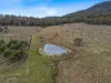 Lot 5, 524 Rosedale Road, Bicheno, Tas 7215