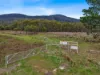 Lot 5, 524 Rosedale Road, Bicheno, Tas 7215-Image