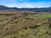 Lot 5, 524 Rosedale Road, Bicheno, Tas 7215-Image