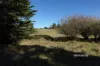 Lot 5 Camena Road, Natone, Tas 7321-Image