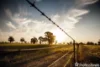 Lot 5 Cowie Springs, Eudunda, SA 5374-Image
