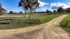 Lot 5, Marcus Court, Naracoorte, SA 5271-Image