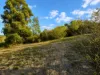 Lot 5, Mercer Spring Gate Road, East Nanango, Qld 4615-Image
