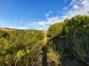 Lot 5, Mercer Spring Gate Road, East Nanango, Qld 4615-Image