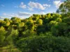 Lot 5, Mercer Spring Gate Road, East Nanango, Qld 4615-Image